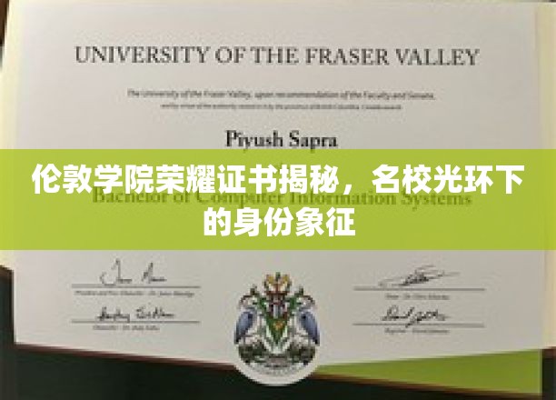 伦敦学院荣耀证书揭秘，名校光环下的身份象征