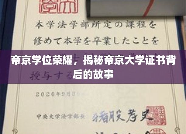 帝京学位荣耀，揭秘帝京大学证书背后的故事