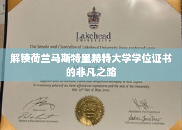探索荷兰马斯特里赫特大学学位之旅，揭秘非凡成就之道