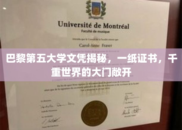 巴黎第五大学文凭，解锁千重世界的大门