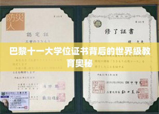 巴黎十一大学位证书背后的世界级教育奥秘