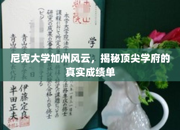 加州尼克大学，揭秘顶尖学府背后的卓越成就