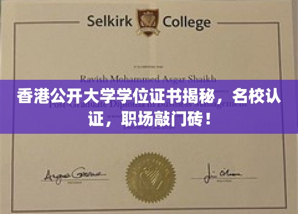 香港公开大学学位证书揭秘，名校认证，职场敲门砖！
