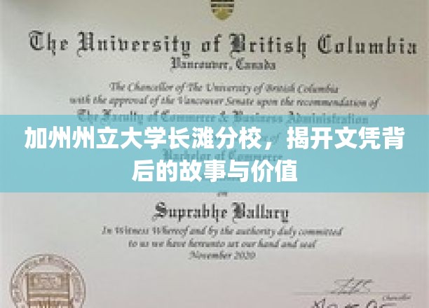 揭秘加州州立大学长滩分校，文凭背后的传奇与价值