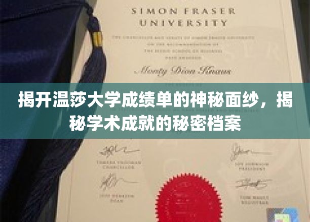 揭开温莎大学成绩单的神秘面纱，揭秘学术成就的秘密档案