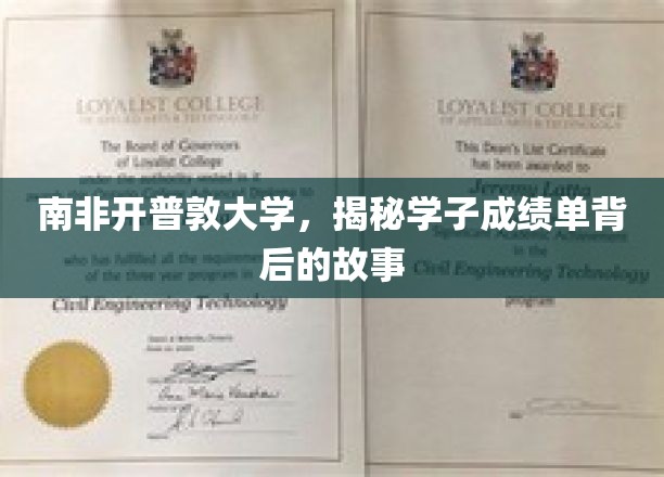 南非开普敦大学，揭秘学子成绩单背后的故事