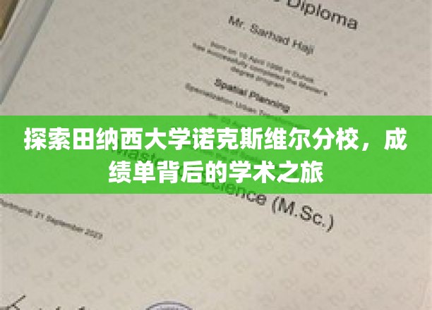 解码田纳西大学学术秘境，诺克斯维尔分校的卓越之路