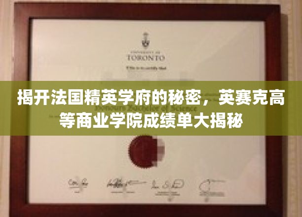揭示法国精英学府的奥秘，英赛克高等商业学院成绩单深度解读