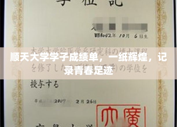 青春足迹闪耀，顺天大学学子成就单绘就辉煌篇章