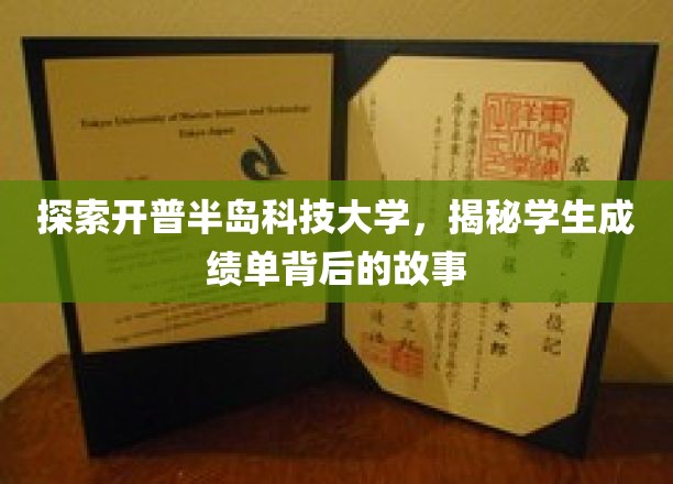 探索开普半岛科技大学，揭秘学生成绩单背后的故事
