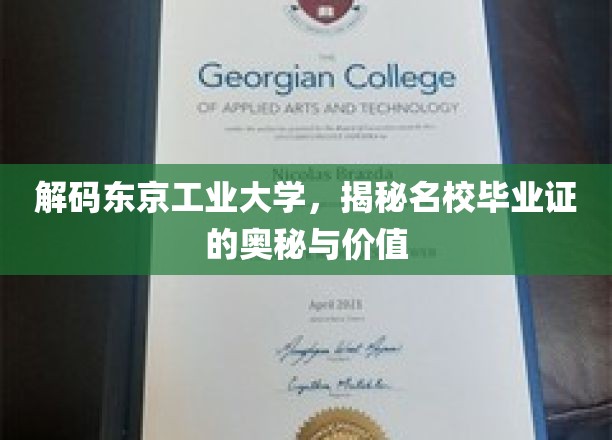 探寻东京工业大学，毕业证书背后的非凡力量与无限可能