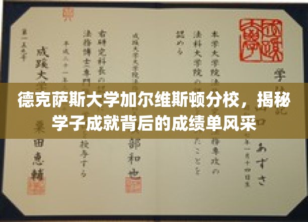 德克萨斯大学加尔维斯顿分校，学子风采背后的耀眼成绩单揭秘