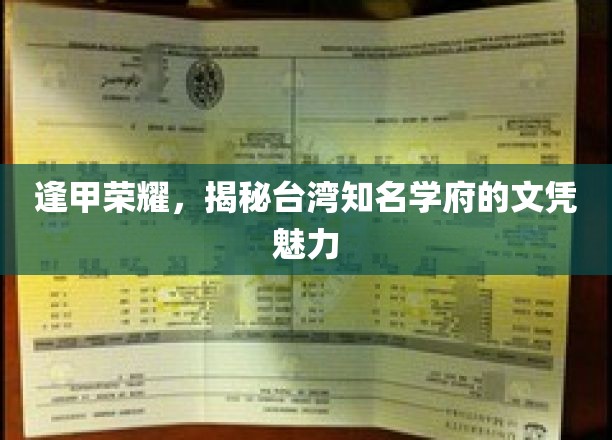 逢甲之光，探寻台湾名校文凭背后的非凡价值