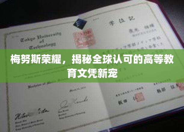 梅努斯荣耀，揭秘全球认可的高等教育文凭新宠