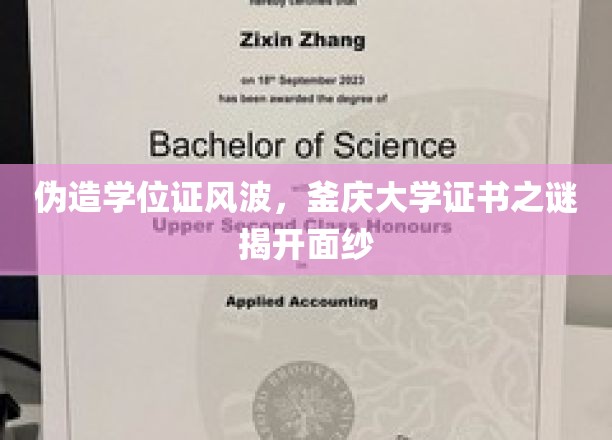 伪造学位证风波，釜庆大学证书之谜揭开面纱