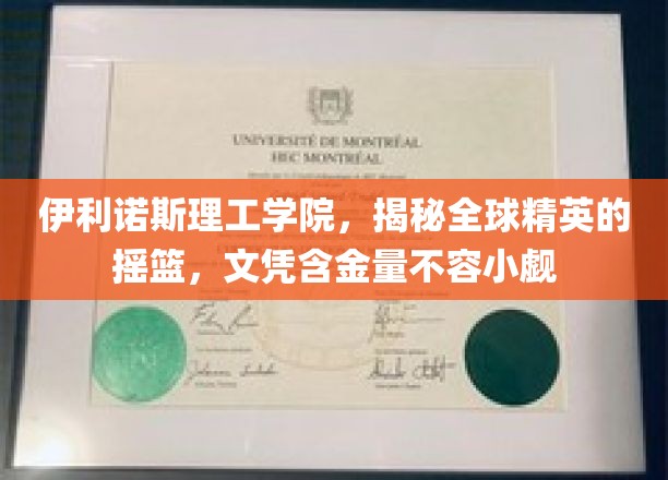 伊利诺斯理工学院，揭秘全球精英的摇篮，文凭含金量不容小觑