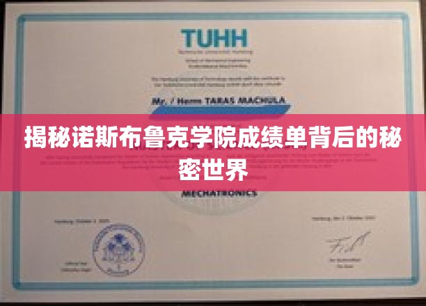 诺斯布鲁克学院，揭秘隐藏在成绩单后的神秘领域
