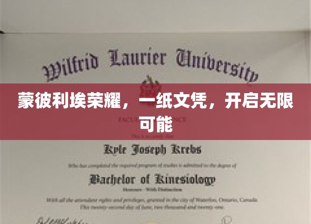 蒙彼利埃荣耀，文凭之翼，翱翔未来无限可能