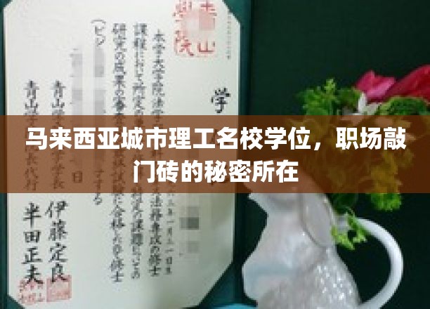 解码马城理工硕士荣耀，开启职场新篇章的关键钥匙