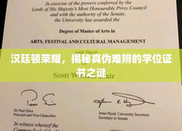 真假难辨，汉廷顿荣耀学位证书的神秘面纱