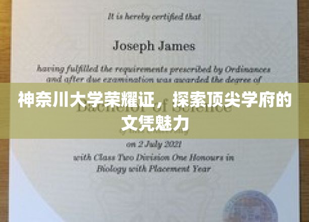 神奈川大学荣耀，解码顶尖学府文凭的非凡魅力