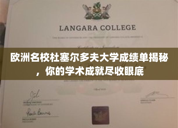 解锁杜塞大成就，一窥欧洲顶尖学府的学术荣耀全景