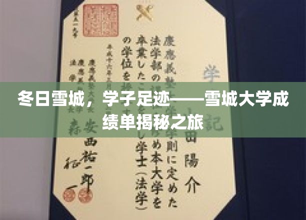 踏雪寻踪，雪城学子足迹映照辉煌成绩单