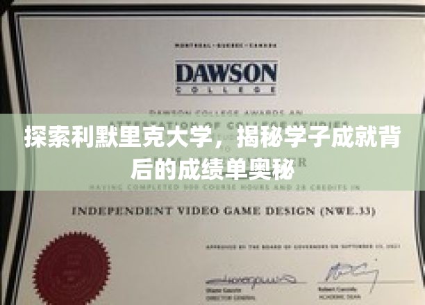 解锁利默里克学子卓越成就的秘密档案