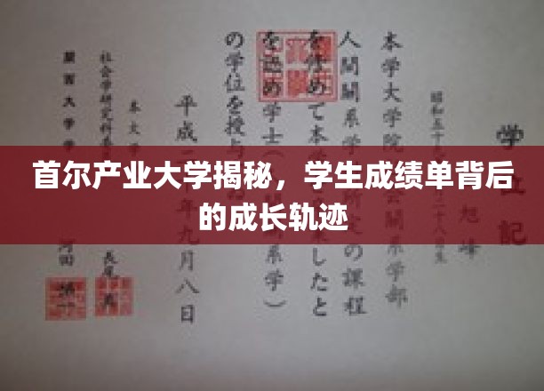 解码首尔产业大学，成绩单背后的青春足迹