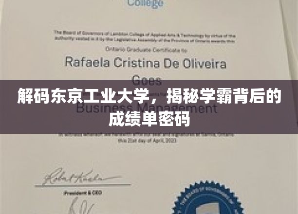 揭秘学霸养成记，东京工业大学学霸成绩单背后的秘密法则