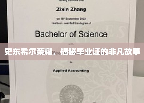 史东希尔荣耀，探寻毕业证背后的传奇故事