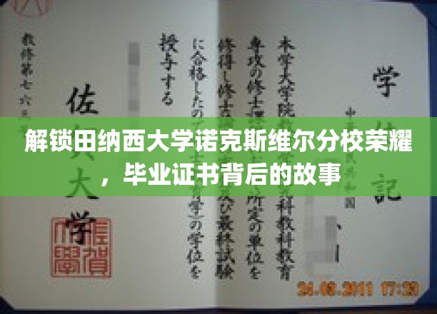 探寻田纳西大学诺克斯维尔分校荣耀，毕业证书背后的传奇历程