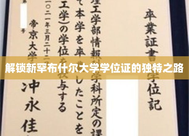 探索新罕布什尔大学学位证书背后的非凡征途
