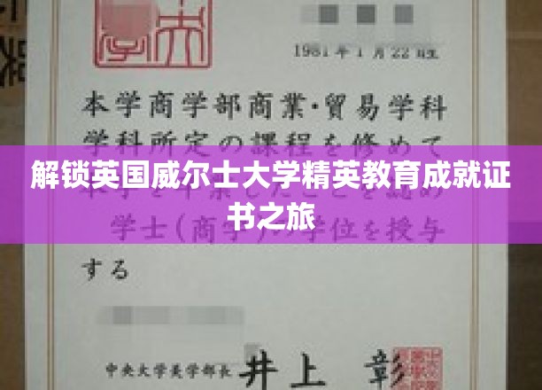 踏上威尔士大学精英成就证书的神秘探险之旅
