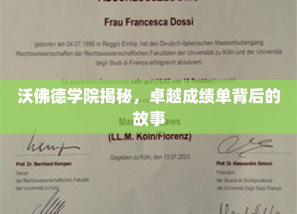 沃佛德学院，揭开学霸背后的不凡秘籍