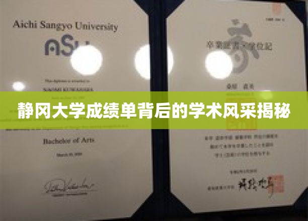 探寻静冈大学成绩单背后的璀璨学术之光