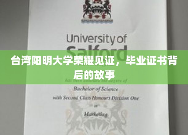 台湾阳明大学荣耀见证，毕业证书背后的故事