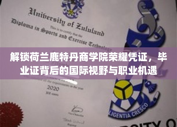 鹿特丹商学院荣耀揭晓，毕业证背后的全球视野与无限职业可能