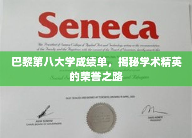 解码巴黎第八大学精英榜，成绩单背后的荣耀轨迹