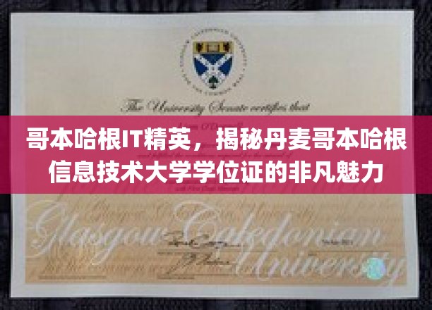 哥本哈根IT英才揭秘，丹麦学位证的独特吸引力与全球认可度