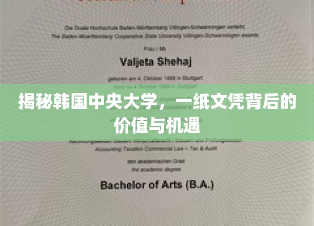 一探究竟：韩国中央大学的文凭价值与机遇
