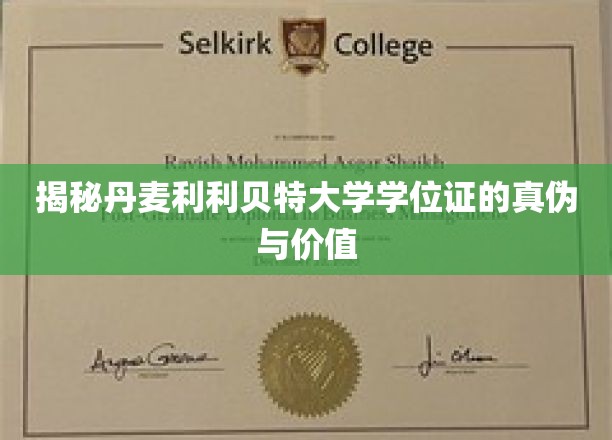 揭秘丹麦利利贝特大学学位证的真伪与价值