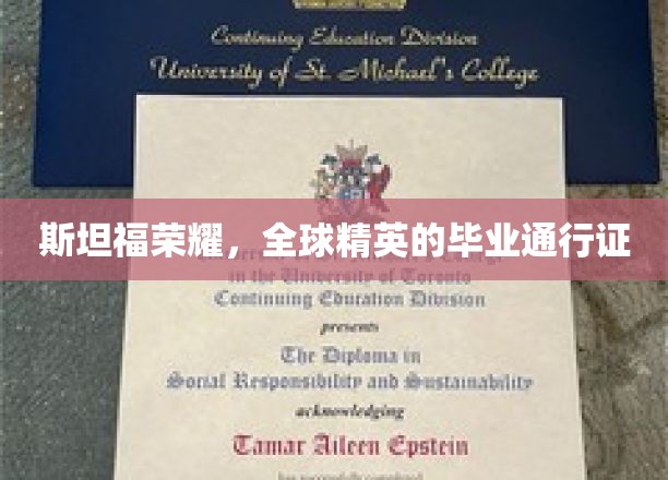 斯坦福之光，开启全球精英梦想之旅的毕业凭证