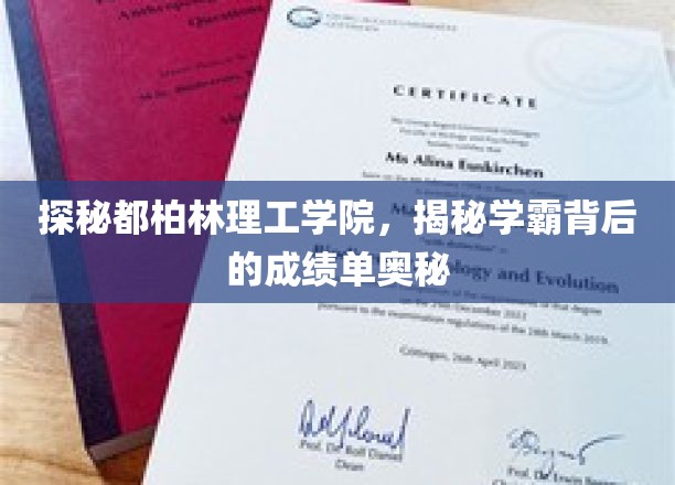 解锁都柏林理工学院学霸秘籍，揭秘非凡成绩背后的独家攻略