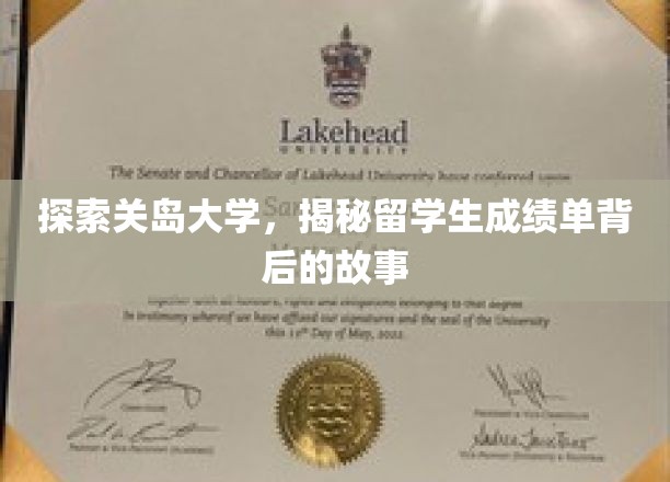 解码关岛大学留学生成绩单，一场别开生面的学术旅程