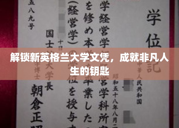 解锁新英格兰大学文凭，开启非凡人生的钥匙