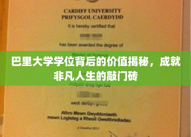 巴里大学学位背后的价值揭秘，成就非凡人生的敲门砖