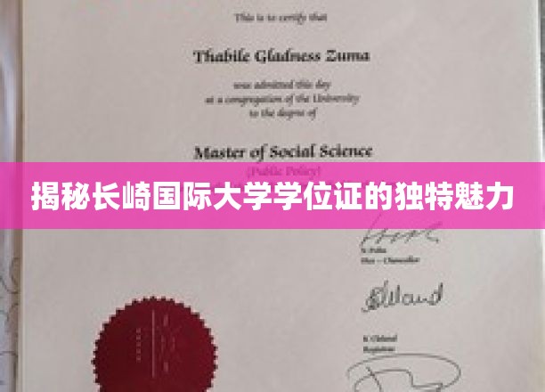 长崎国际大学学位证，揭秘其背后的国际化风采