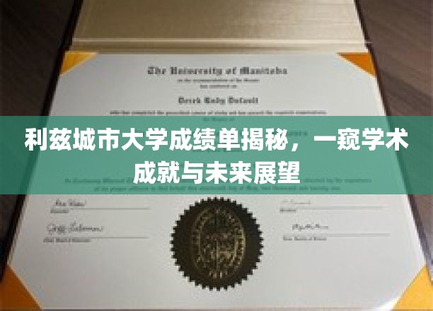 利兹城市大学成绩单揭秘，一窥学术成就与未来展望