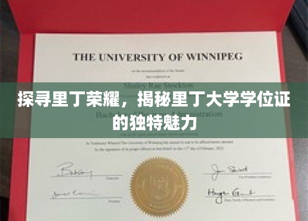 里丁荣耀解码，探索学位证背后的独特风采